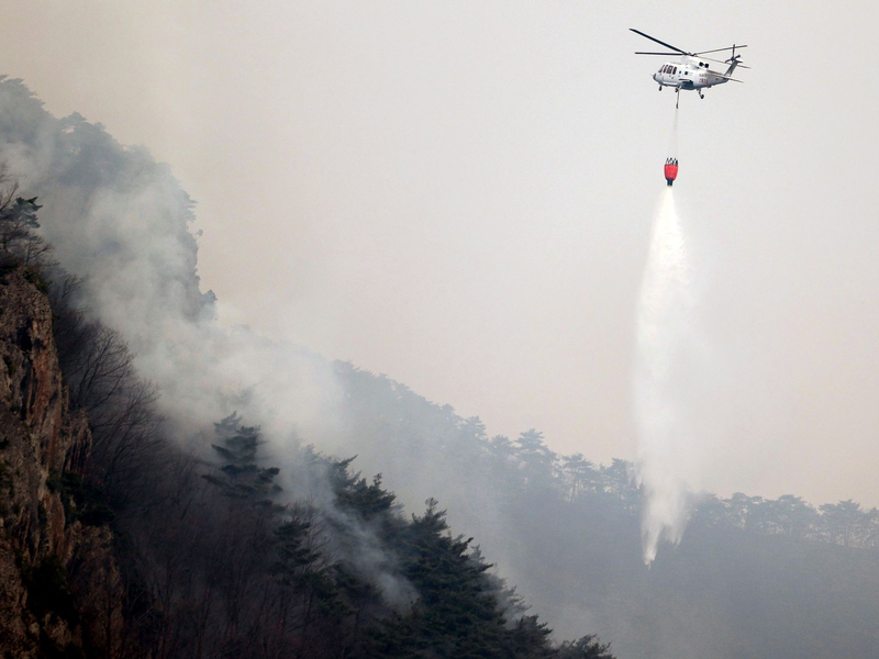 Es handelt sich um die größten Waldbrände in der Geschichte des Landes.  - Foto: Lee Moo-yeol/Newsis via AP)/dpa