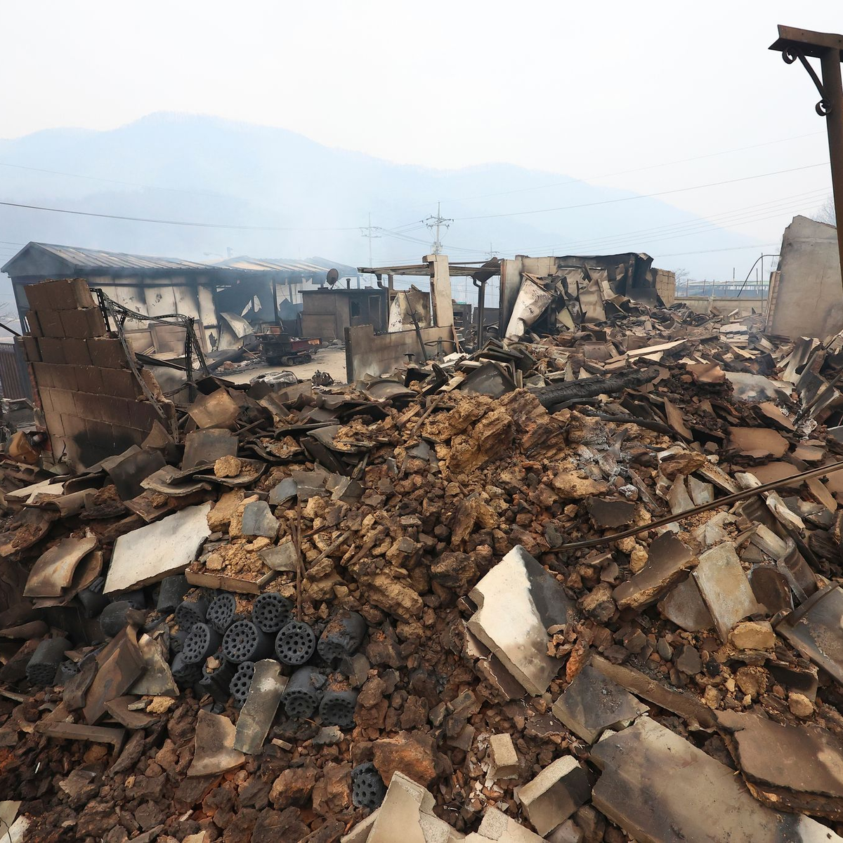Rund 37.000 Anwohner mussten bereits wegen der Waldbrände evakuiert werden.  - Foto: Kim Do-hun/Yonhap via AP/dpa