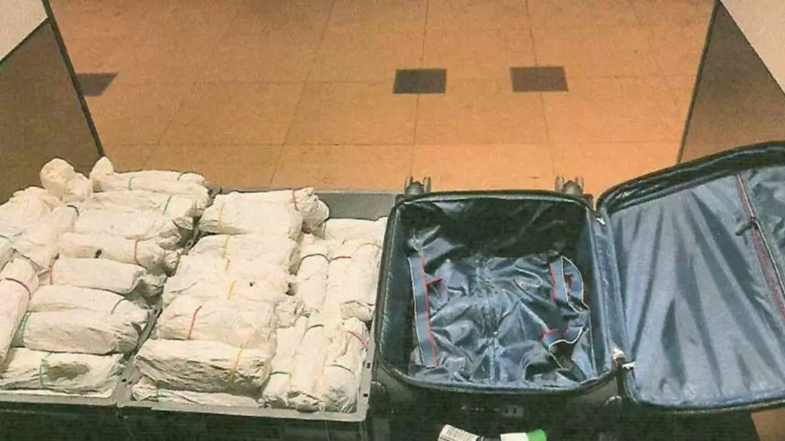 HZA-P: Herrenloser Koffer am Flughafen BER beschäftigt den Zoll /Grund dafür ist der Inhalt: 20 Kilogramm Kathblätter zu 89 Bündeln gewickelt - Bild: presseportal.de