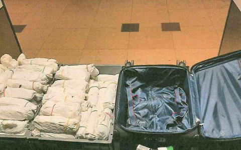 HZA-P: Herrenloser Koffer am Flughafen BER beschäftigt den Zoll /Grund dafür ist der Inhalt: 20 Kilogramm Kathblätter zu 89 Bündeln gewickelt - Foto: presseportal.de