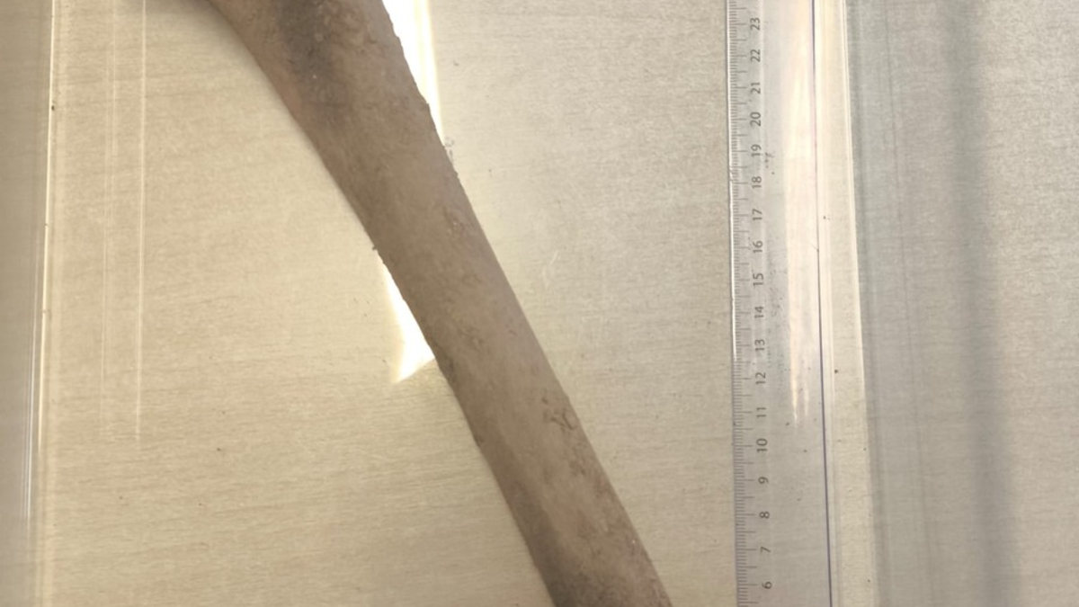 LPI-J: Knochenfund auf Baustelle - Foto: presseportal.de