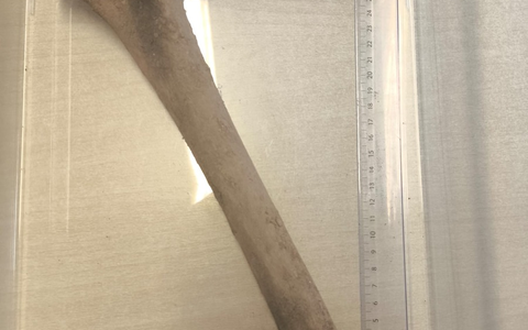 LPI-J: Knochenfund auf Baustelle - Foto: presseportal.de