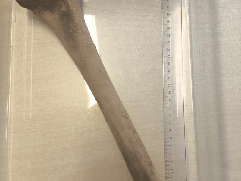 LPI-J: Knochenfund auf Baustelle - Foto: presseportal.de