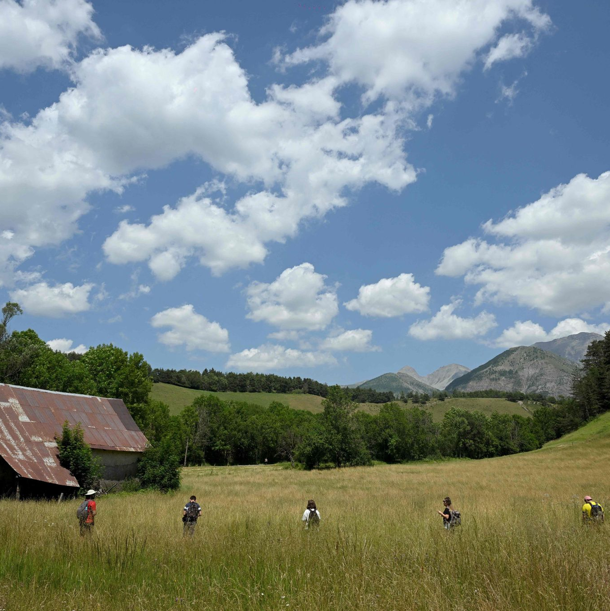 Auch Freiwillige hatten die Gegend auf der Suche nach dem Kind durchkämmt. (Archivbild) - Foto: Nicolas Tucat/AFP/dpa