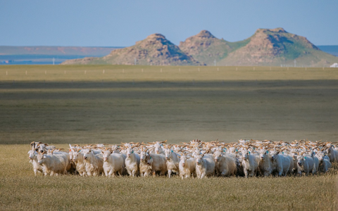Good Cashmere Conference in Hamburg bringt globale Kaschmirindustrie zusammen, um Zukunft der Branche zu diskutieren - Foto: presseportal.de