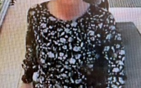 POL-WOB: Vermisste Frau aus Groß Twülpstedt - Polizei bittet um Mithilfe - Foto: presseportal.de