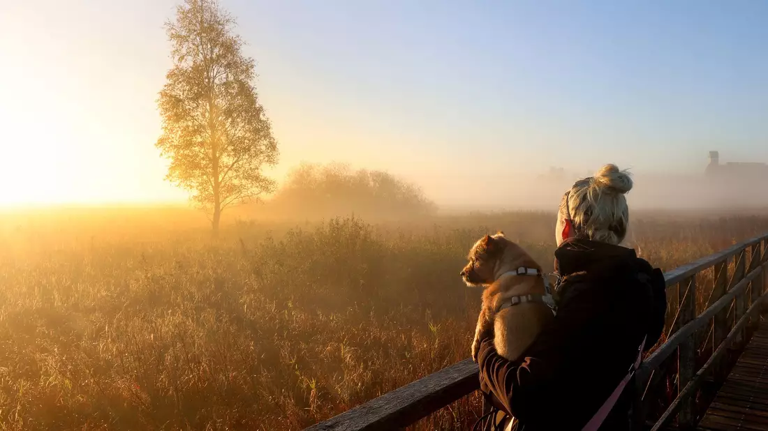 Der physiologische Tageszyklus des Menschen orientiert sich am Sonnenaufgang. (Archivbild) - Bild: Thomas Warnack/dpa/dpa-tmn