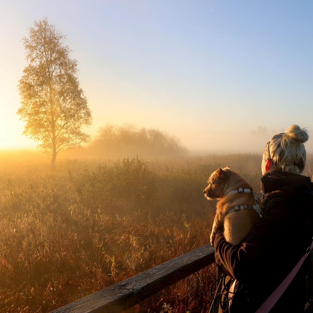 Der physiologische Tageszyklus des Menschen orientiert sich am Sonnenaufgang. (Archivbild) - Foto: Thomas Warnack/dpa/dpa-tmn
