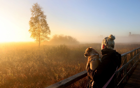 Der physiologische Tageszyklus des Menschen orientiert sich am Sonnenaufgang. (Archivbild) - Foto: Thomas Warnack/dpa/dpa-tmn Der physiologische Tageszyklus des Menschen orientiert sich am Sonnenaufgang. (Archivbild) - Foto: Thomas Warnack/dpa/dpa-tmn