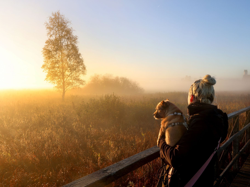 Der physiologische Tageszyklus des Menschen orientiert sich am Sonnenaufgang. (Archivbild) - Foto: Thomas Warnack/dpa/dpa-tmn