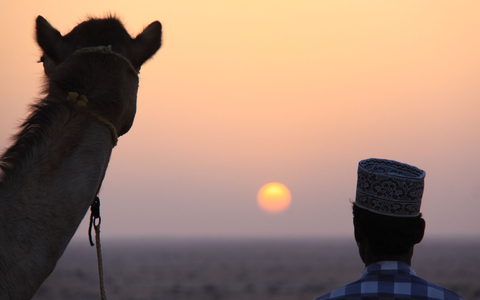 Eine lange Nacht voller Märchen aus dem Orient. (Symbolbild) - Foto: Manuel Meyer/dpa-tmn