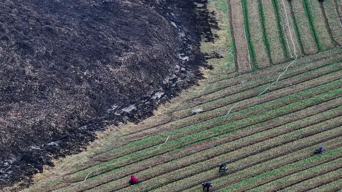 Die Waldbrände gelten als die mit Abstand schlimmsten in der Geschichte Südkoreas. - Bild: Yoon Kwan-shik/Yonhap via AP/dpa