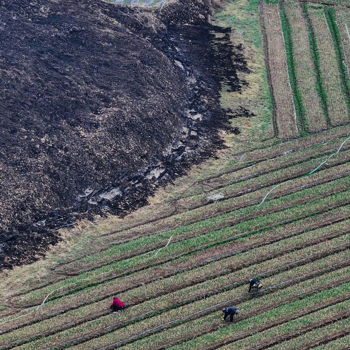 Die Waldbrände gelten als die mit Abstand schlimmsten in der Geschichte Südkoreas. - Foto: Yoon Kwan-shik/Yonhap via AP/dpa