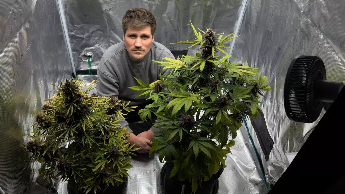 Die Cannabis-Bilanz: Wie viel kiffst du, Deutschland? - Bild: presseportal.de