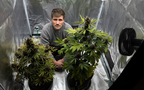 Die Cannabis-Bilanz: Wie viel kiffst du, Deutschland? - Foto: presseportal.de