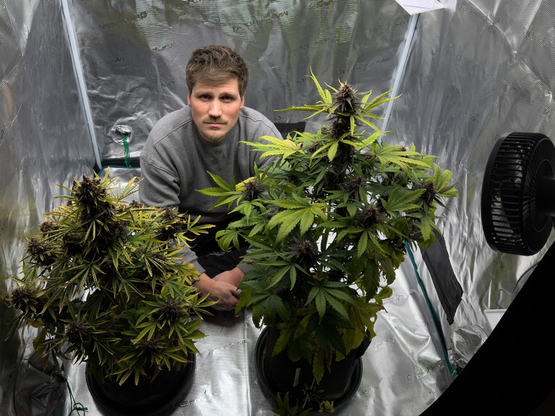 Die Cannabis-Bilanz: Wie viel kiffst du, Deutschland? - Foto: presseportal.de