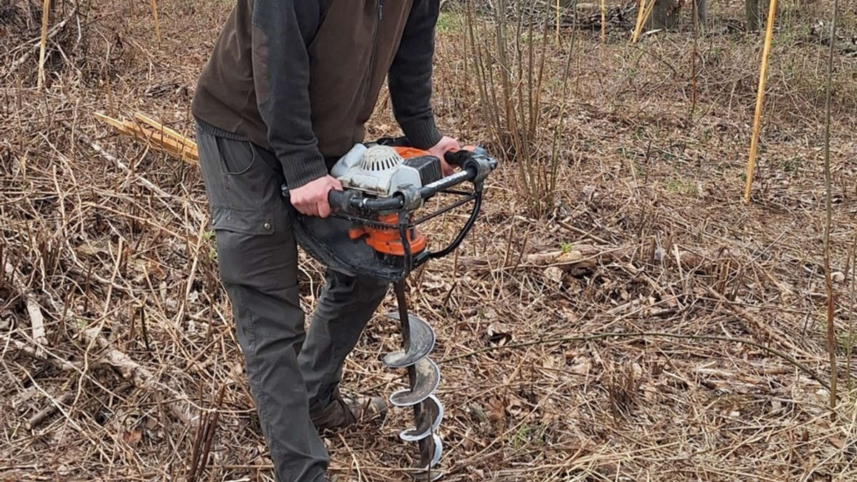 lavera unterstützt private Waldbesitzer / Pflanzprojekt am Stemmer Berg vorerst abgeschlossen - Foto: presseportal.de