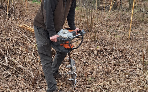 lavera unterstützt private Waldbesitzer / Pflanzprojekt am Stemmer Berg vorerst abgeschlossen - Foto: presseportal.de