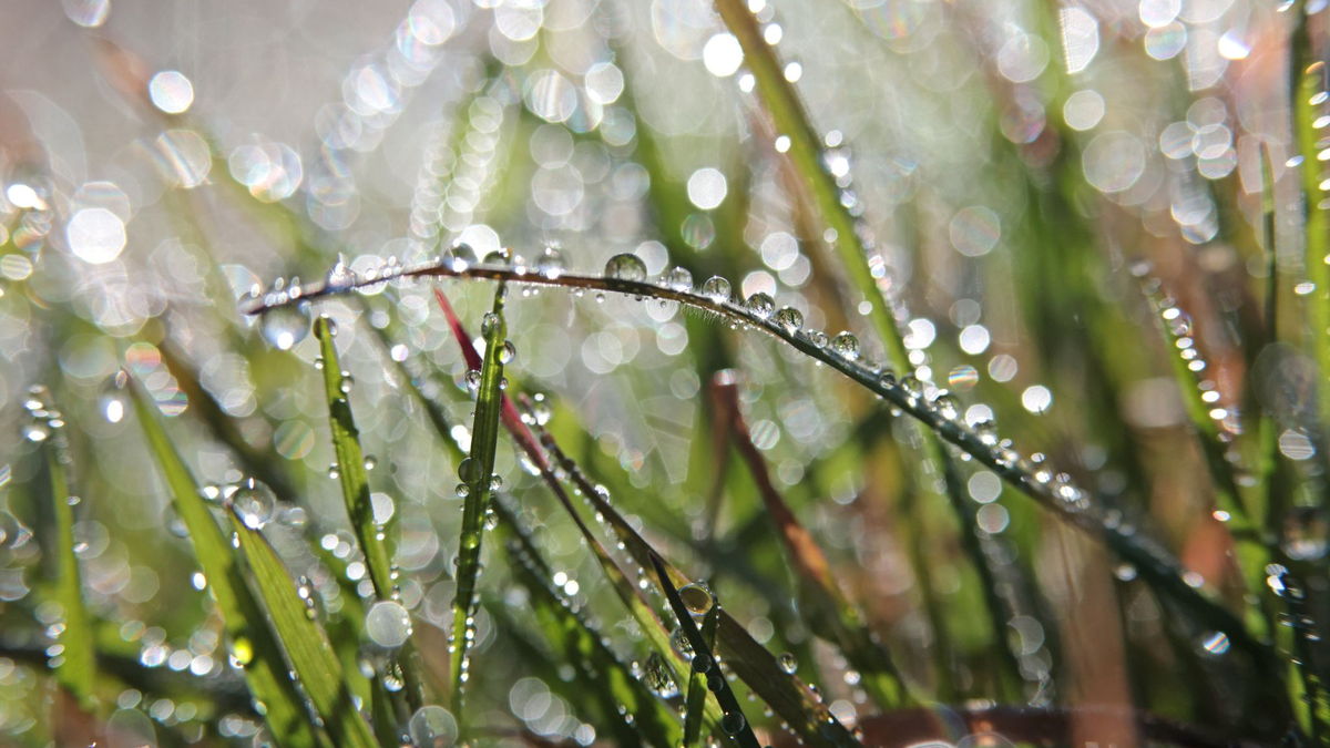 Für das Wochenende ist wechselhaftes Wetter angekündigt. - Foto: Matthias Bein/dpa