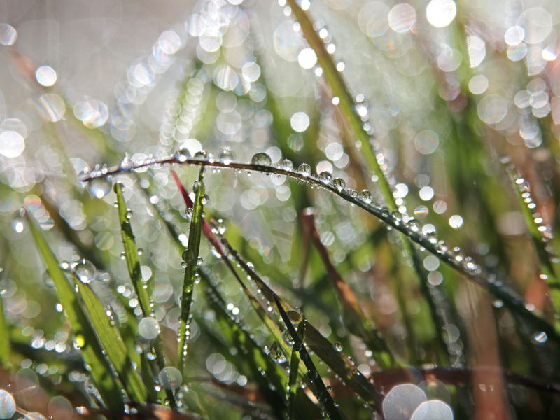 Für das Wochenende ist wechselhaftes Wetter angekündigt. - Foto: Matthias Bein/dpa
