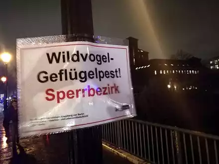 Warnschild vor Geflügelpest (Archiv) - Foto: über dts Nachrichtenagentur