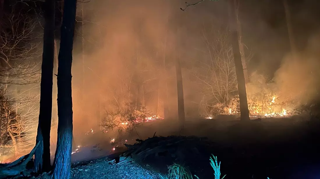 POL-PDLD: Waldbrand - Bild: presseportal.de
