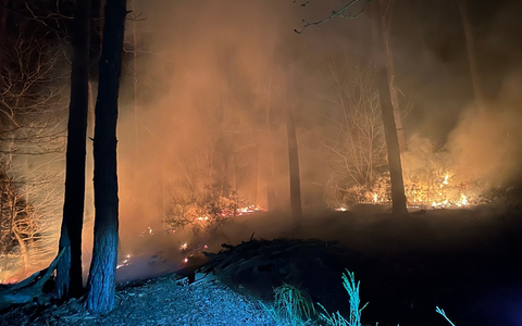 POL-PDLD: Waldbrand - Foto: presseportal.de