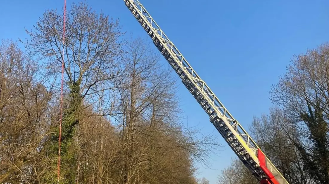 FW Mettmann: Rettung aus Tiefe nach Verkehrsunfall - Bild: presseportal.de
