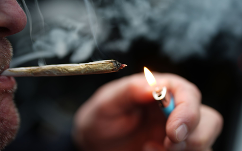 Cannabis zum Eigenkonsum ist seit einem Jahr für Erwachsene erlaubt. (Archivbild) - Foto: Marcus Brandt/dpa