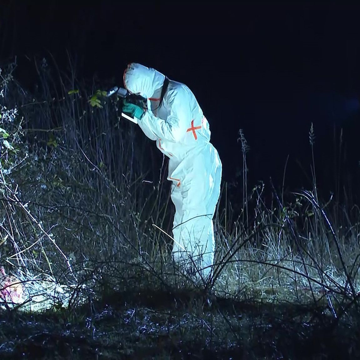 Eine genauere Inspektion brachte schließlich Klarheit. - Foto: Stefan Tretropp/dpa
