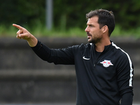 Zsolt Löw war bereits von 2015 bis 2018 Co-Trainer in Leipzig. - Foto: Sven Hoppe/dpa