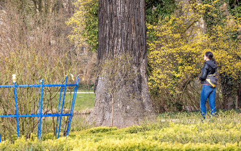 Pflanzen und Tiere leiden in Deutschland zunehmend unter der anhaltenden Trockenheit.  - Foto: Frank Hammerschmidt/dpa