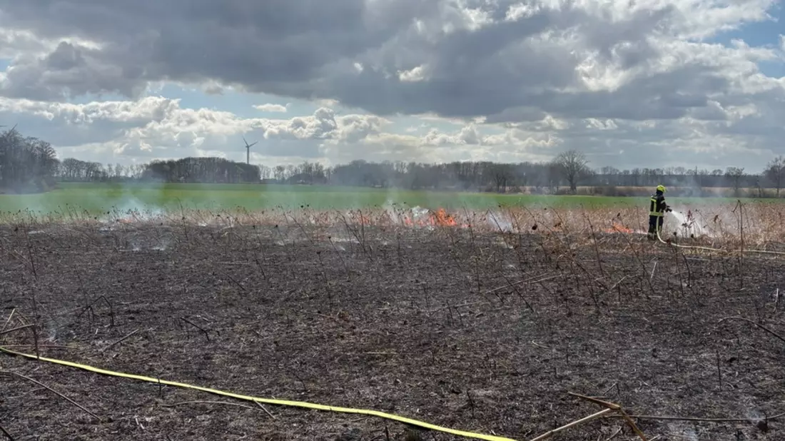 FW-WAF: Brand auf Getreidefeld - Bild: presseportal.de