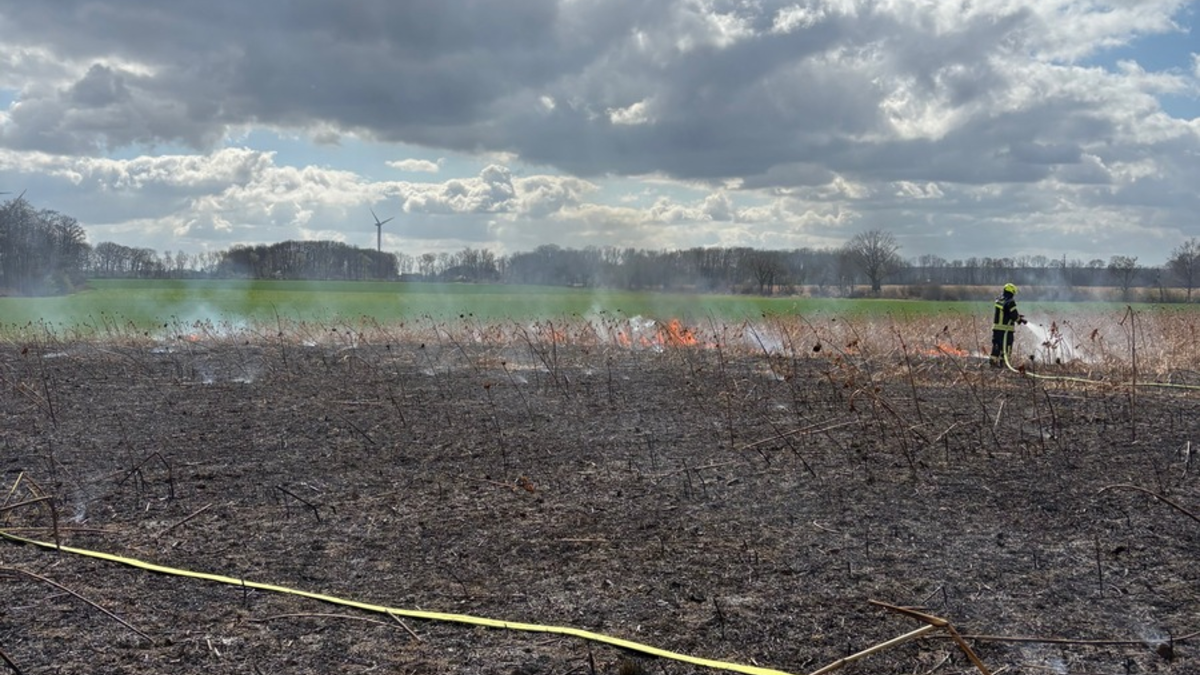 FW-WAF: Brand auf Getreidefeld - Foto: presseportal.de