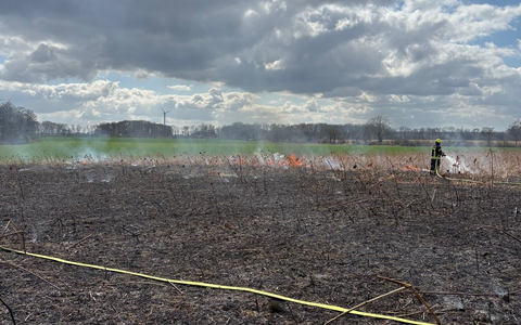 FW-WAF: Brand auf Getreidefeld - Foto: presseportal.de