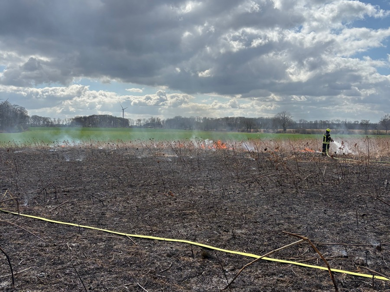 FW-WAF: Brand auf Getreidefeld - Foto: presseportal.de