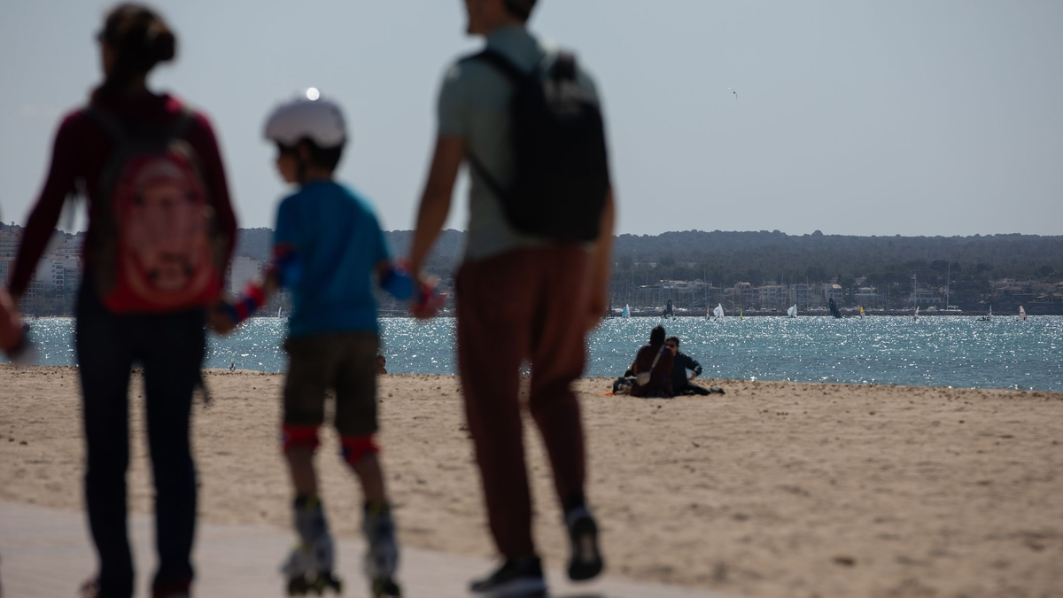 An manchen Stränden Mallorcas hat der Sturm vom Wochenende massenhaft Segelquallen angeschwemmt. Für Menschen sind sie harmlos. Aber sie stinken. (Symbolbild) - Foto: Clara Margais/dpa