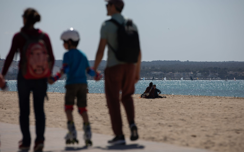 An manchen Stränden Mallorcas hat der Sturm vom Wochenende massenhaft Segelquallen angeschwemmt. Für Menschen sind sie harmlos. Aber sie stinken. (Symbolbild) - Foto: Clara Margais/dpa