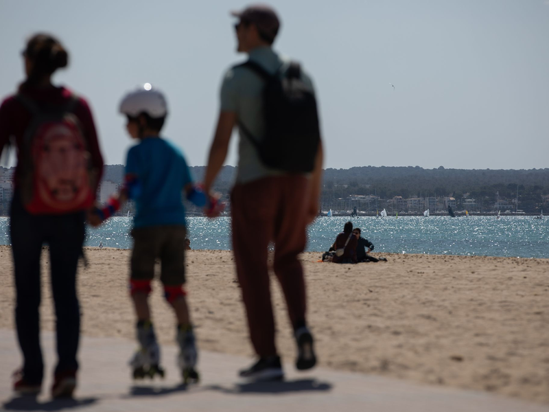 An manchen StrĂ€nden Mallorcas hat der Sturm vom Wochenende massenhaft Segelquallen angeschwemmt. FĂŒr Menschen sind sie harmlos. Aber sie stinken. (Symbolbild) - Foto: Clara Margais/dpa