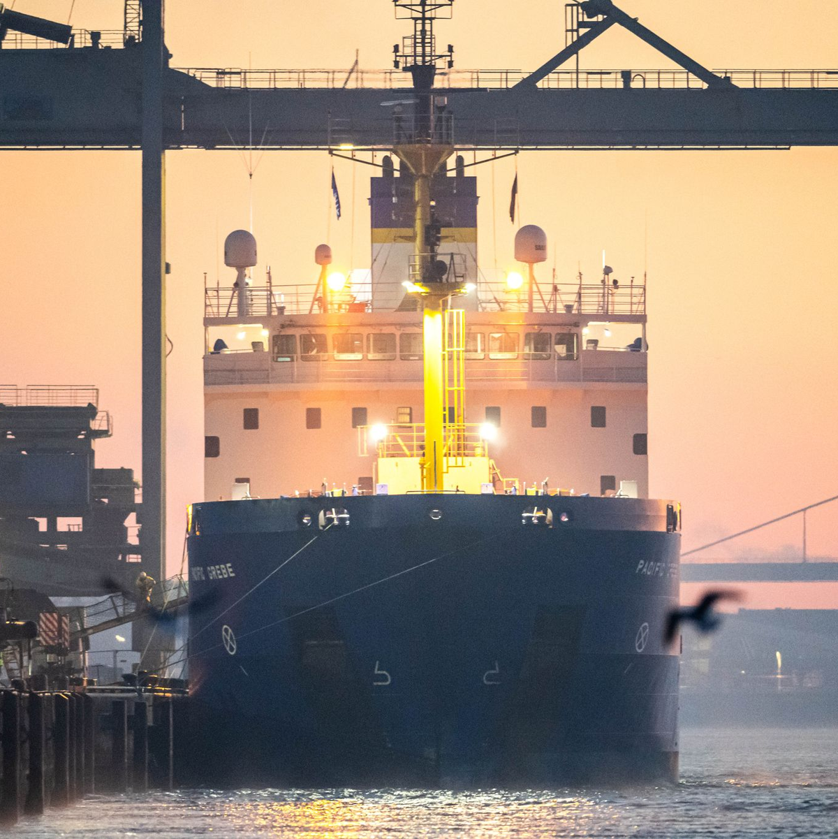 Einsatzkräfte begleiteten das Schiff bei seiner Ankunft in der Dämmerung. - Foto: Sina Schuldt/dpa
