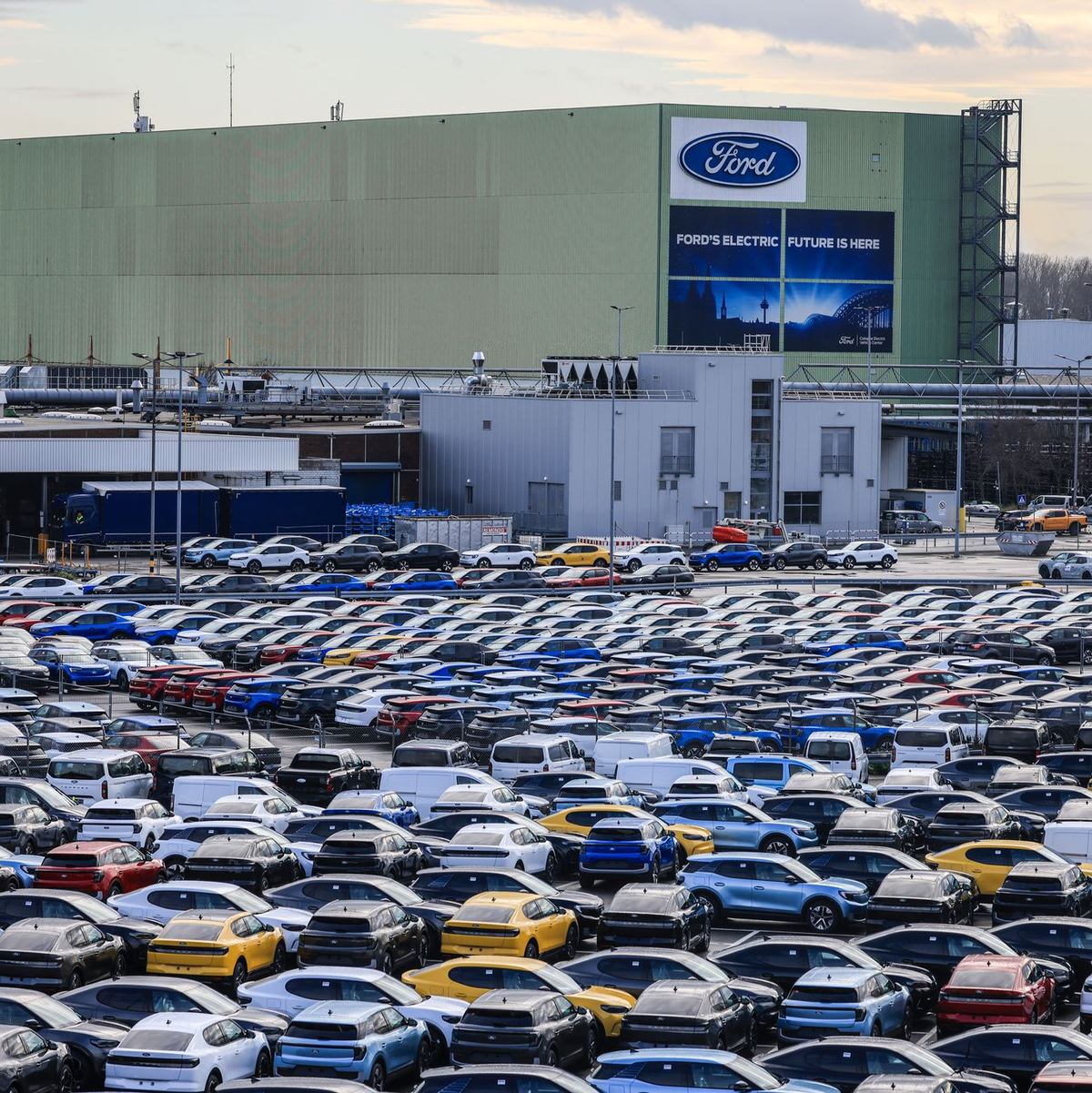 Ford-Elektroautos auf einem Kölner Parkplatz - ihr Verkauf läuft schleppend.  - Foto: Oliver Berg/dpa