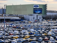 Da stehen sie, die neuen Elektroautos von Ford. Doch die Nachfrage nach ihnen ist schwach. - Foto: Oliver Berg/dpa