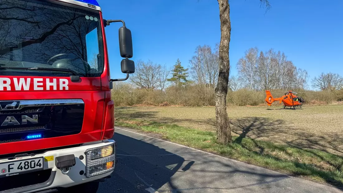 FW Flotwedel: Baumunfall bei Langlingen / Feuerwehr befreit Fahrer aus PKW - Bild: presseportal.de