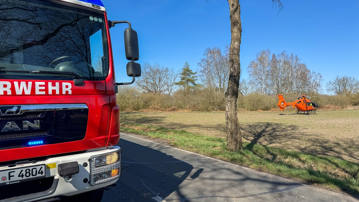 FW Flotwedel: Baumunfall bei Langlingen / Feuerwehr befreit Fahrer aus PKW - Foto: presseportal.de