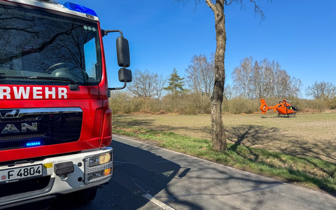 FW Flotwedel: Baumunfall bei Langlingen / Feuerwehr befreit Fahrer aus PKW - Foto: presseportal.de