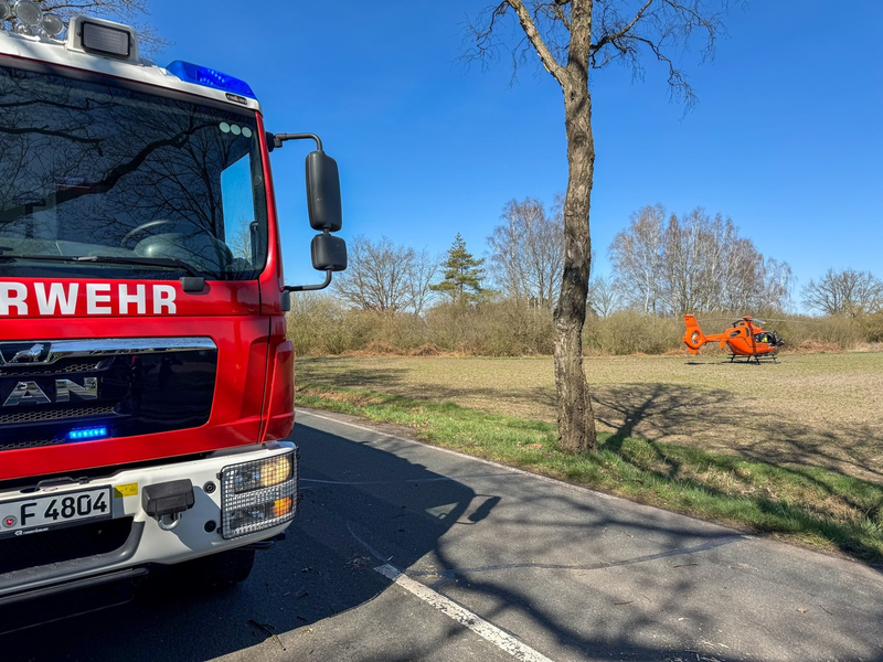 FW Flotwedel: Baumunfall bei Langlingen / Feuerwehr befreit Fahrer aus PKW - Foto: presseportal.de