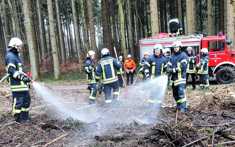 FW Eigeltingen: Feuerwehr-Abteilungen Honstetten, Reute und Eigeltingen werden zu Brand im Wald alarmiert - Foto: presseportal.de