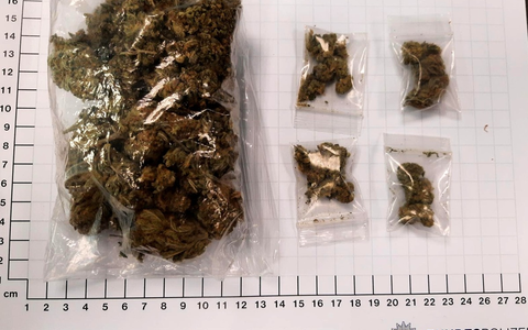 BPOL NRW: Bundespolizisten stellen 43 Gramm Marihuana sicher - Foto: presseportal.de