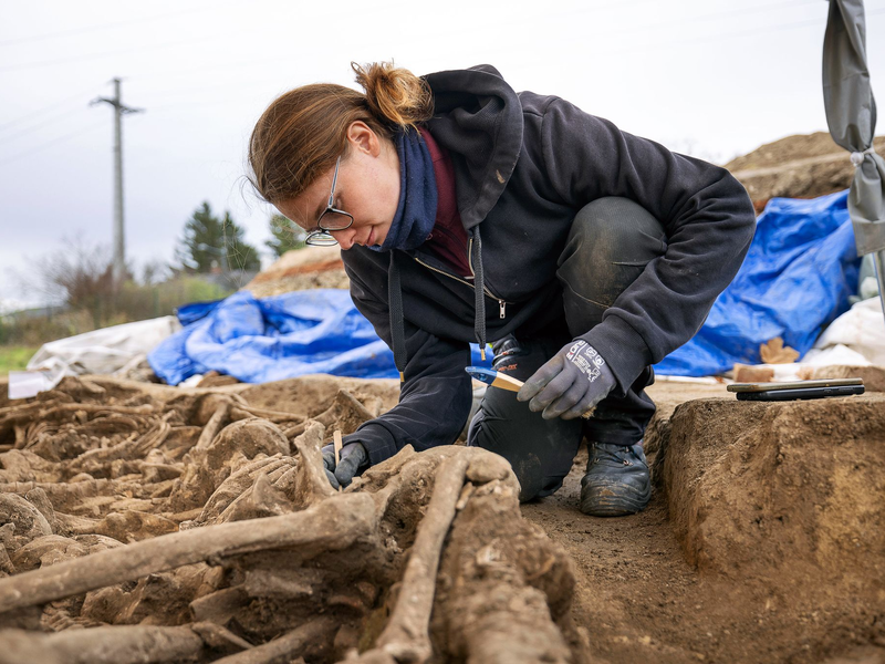 Bei den Toten handelt es sich fast durchwegs um junge, groß gewachsene Soldaten. (Foto: Handout) - Foto: Reiner Riedler/Wien Museum/dpa