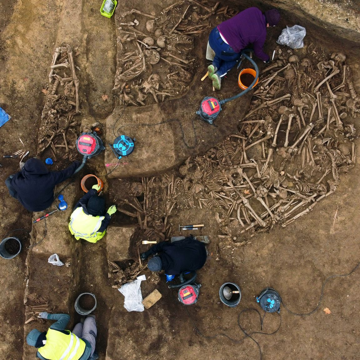 Die Knochen kamen bei Arbeiten auf einem Sportplatz ans Licht. (Foto: Handout) - Foto: -/Wien Museum/dpa